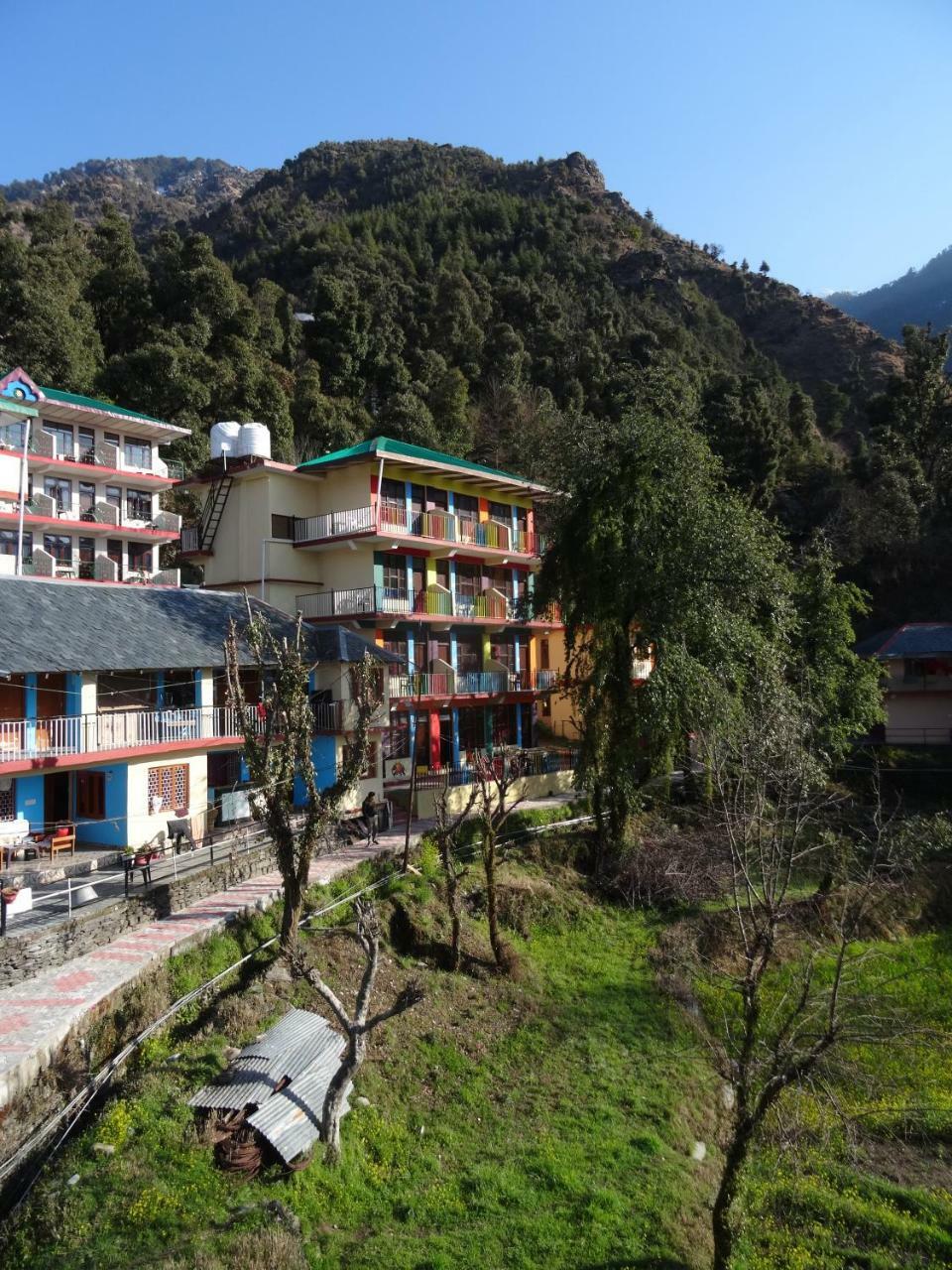 La Vaca India Mcleodganj Vandrerhjem McLeod Ganj Eksteriør bilde